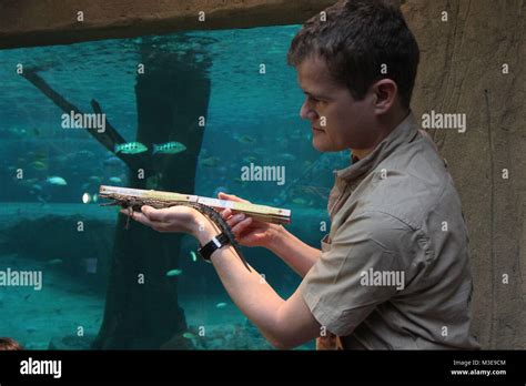 Tier Inventur Im Tropen Aquarium Tierpark Hagenbeck Hamburg 29 12