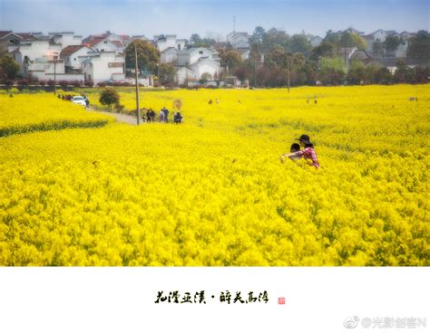 遇见高淳慢城花海，邂逅最美田园风光。