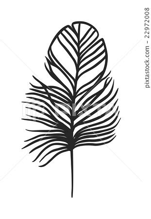 Decorative Black Feather Vector Stock Illustration 22972008 PIXTA