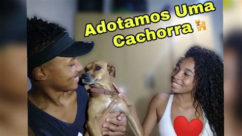 Adotamos Uma Cachorra Youtube