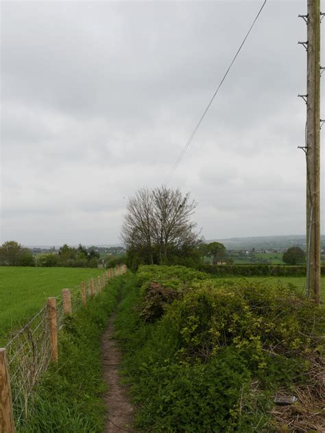 The Path Between Echo Street And Pogg Habiloid Cc By Sa