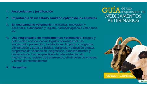 Presentación de la Guía de Uso Responsable de Medicamentos en Ovino y