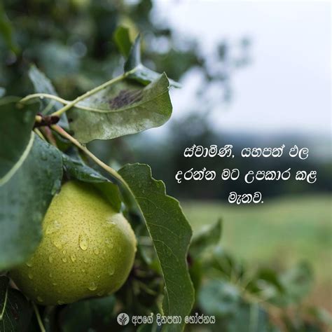 Share ODB 2022 10 01 Sinhala Our Daily Bread