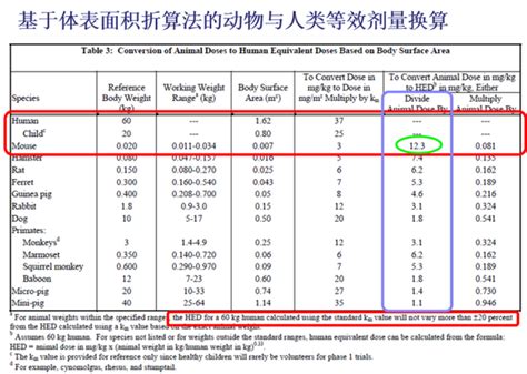 小鼠与人类之间的剂量换算系数 知乎