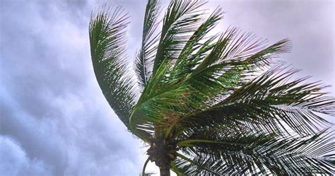 Alerte météo Fortes rafales de vent vendredi et samedi H24info