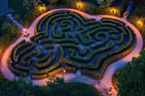 Premium Photo | An aerial view of a garden at night