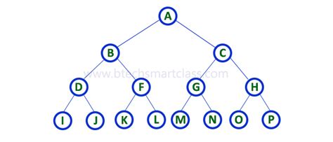 Data Structures Tutorials Binary Tree With An Example