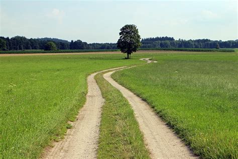 Feld Weg Natur Kostenloses Foto Auf Pixabay Pixabay