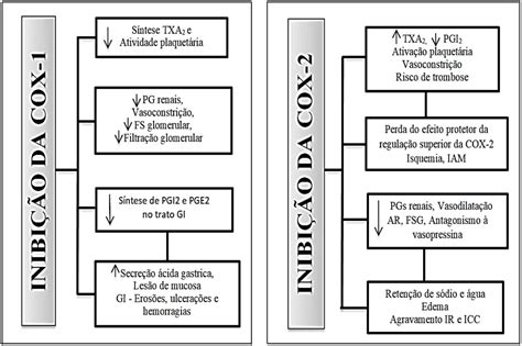 Efeito cardiovascular dos coxibes revisão de literatura