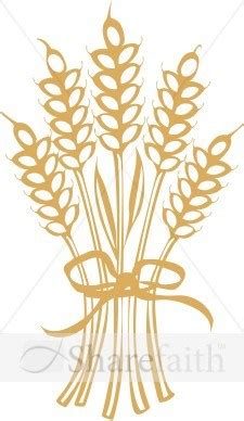 Wheat Bundle Vector at Vectorified.com | Collection of Wheat Bundle ...