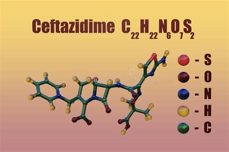 Ceftazidime A Semi Synthetic Broad Spectrum Third Generation