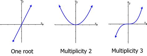 What is the multiplicity of a polynomial? - Neurochispas