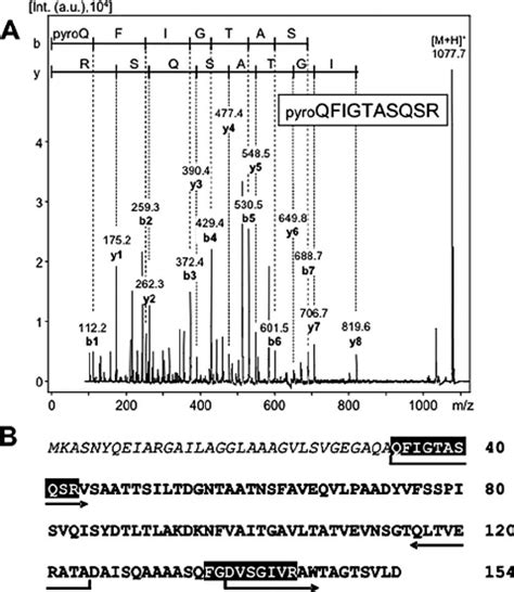 A Maldi Tof Psd Mass Spectrum Of The N Terminal Peptide Fragment