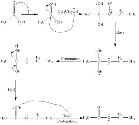 Solved We had an experiment about SYNTHESIS, ISOLATION AND | Chegg.com