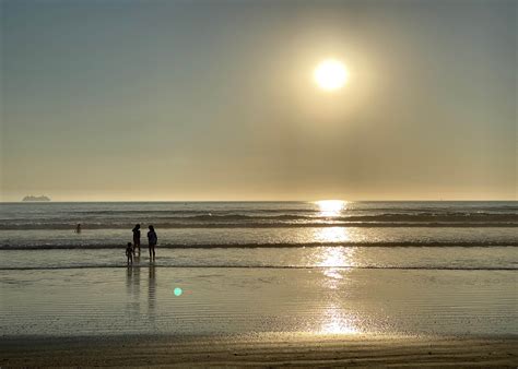 Silver Strand State Beach Camping | The Dyrt