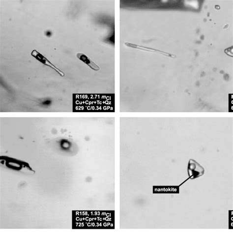 Photomicrographs At C Of Typical Quartz Hosted Aqueous Fluid