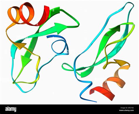 Amyloid precursor protein molecule Stock Photo - Alamy