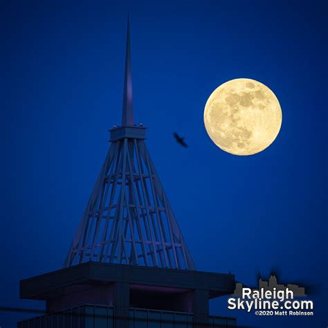 Raleigh Skyline Spring to Summer 2020 - RaleighSkyline.com – Downtown ...