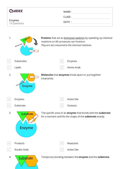 50 Enzymes Worksheets For 9th Year On Quizizz Free And Printable