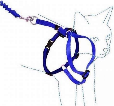 Шлейка-жилетка для кошки: ТОП 10 крутых фото и 5 выкроек