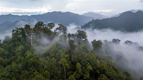 Uncontacted People Of The World Flipboard