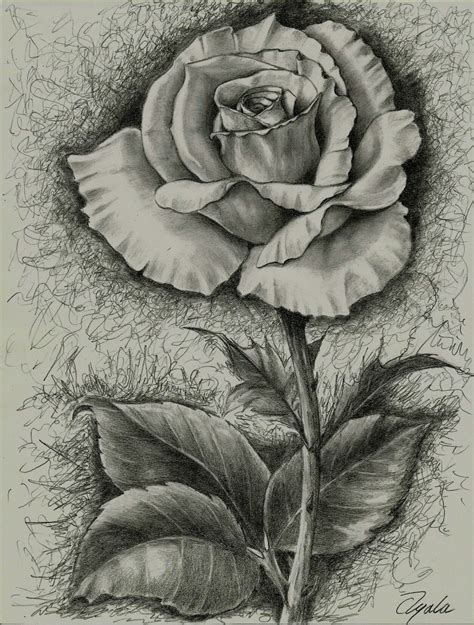 Dibujo De Una Rosa A Grafito Por Jos Luis Ayala Pyro Rose Tattoos