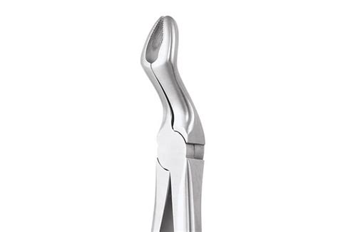 Buy GDC Extraction Forceps Upper Third Molars 67a Premium Fx67ap At