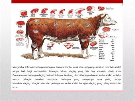 belajar mengenali daging lembu  pptx