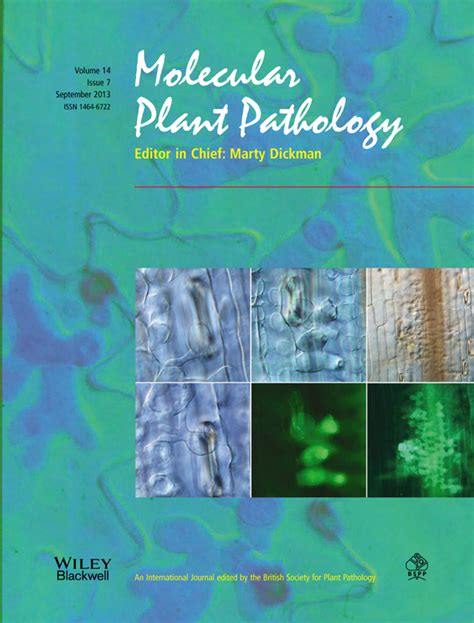 Ralstonia solanacearum, a widespread bacterial plant pathogen in the ... 