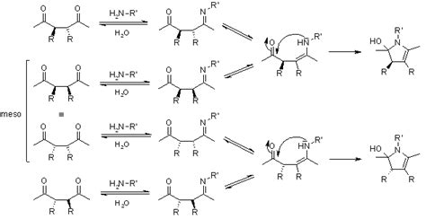 Paal Knorr Pyrrole Synthesis