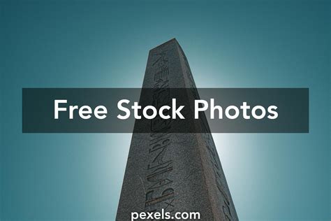 egyptian origin      egyptian origin stock