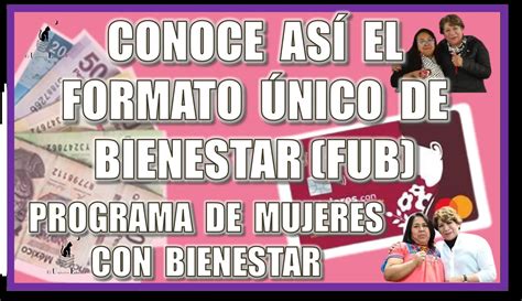 Conoce As El Formato Nico De Bienestar Fub Programa De Mujeres