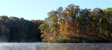 Fall foliage at Virginia State Parks: Peak periods by region