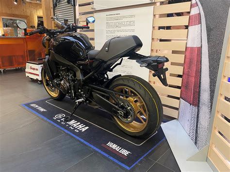 Details Zum Custom Bike Yamaha Xsr900 Black And Gold Des Händlers Zweiradsport Meine