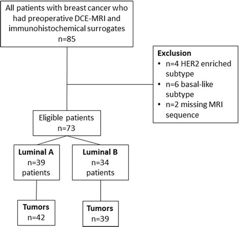 Dce Mri Radiomics Analysis In Differentiating Luminal A And Luminal B