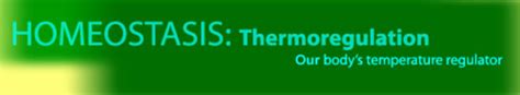 Homeostasis: Thermoregulation: Our Body's Temperature Regulator - Play ...