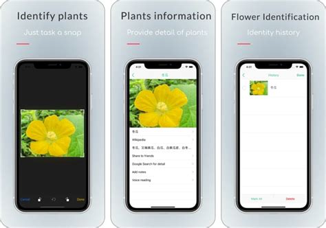 Best Plant Identifier Apps For Iphone In Igeeksblog