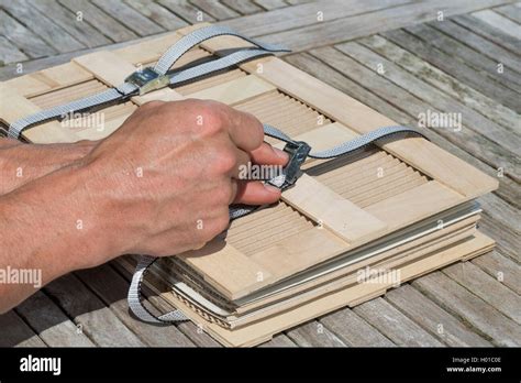 making a herbarium, Germany Stock Photo - Alamy