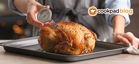 Perfect your thanksgiving Turkey with these tried and tested tips