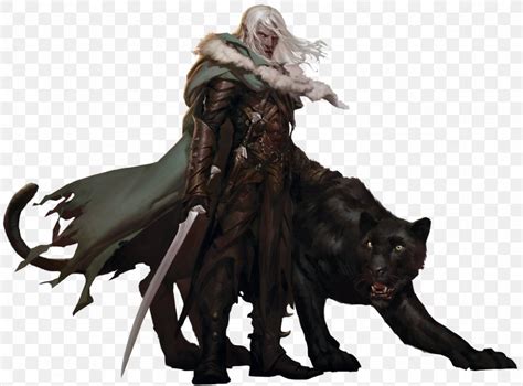 Dungeons And Dragons The Companions The Sundering The Legacy Drizzt Do