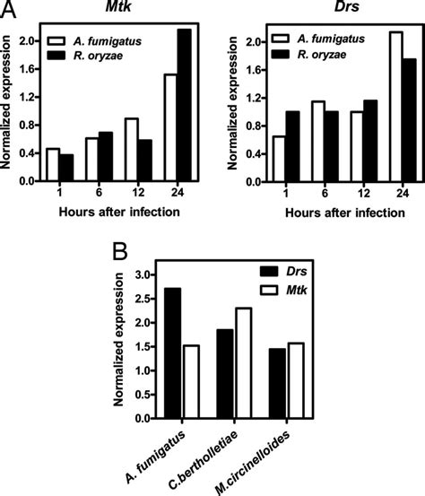 Induction Of Drosomycin Drs And Metchnikowin Mtk MRNA In WT Flies