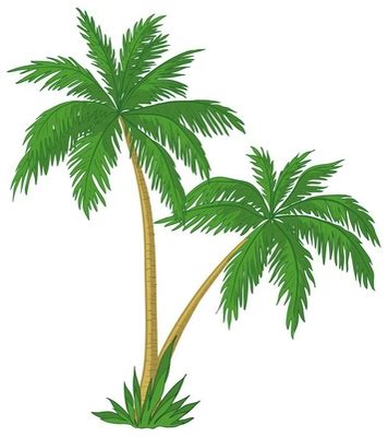 Tapis De Bain Palm Trees Pixers Fr