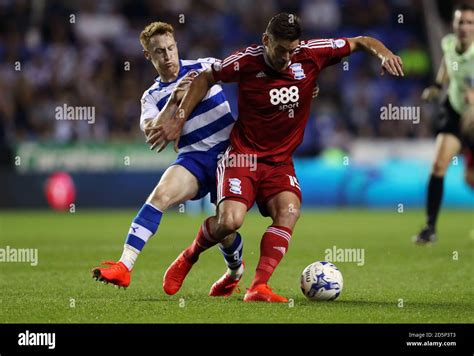 Reading S Stephen Quinn And Birmingham City S Lukas Jutkiewicz Battle