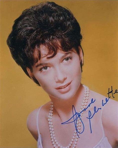 Glamorous Photos Of Suzanne Pleshette In The S Vintage