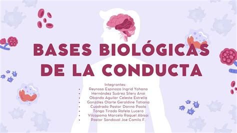 Bases biológicas de la conducta Raquel Vilcapoma uDocz