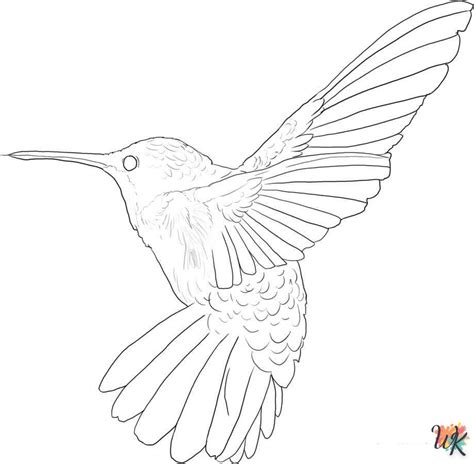 Dibujos Para Colorear Colibríes DibujosparaColorearWK