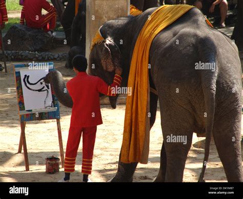 Elephant is painting a self-portrait Stock Photo - Alamy