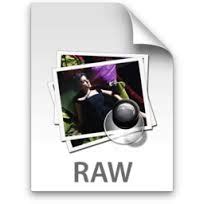 discuss   raw file format assignment point