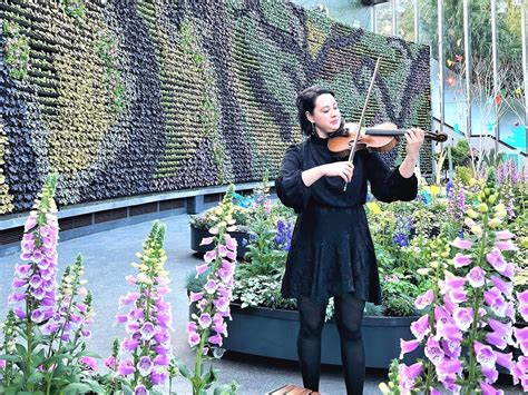 Hire LIDIA Sydney – Classical, Pop and Rock Violin Performer | artist