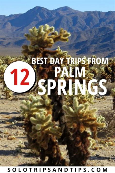 12 Best Day Trips From Palm Springs California